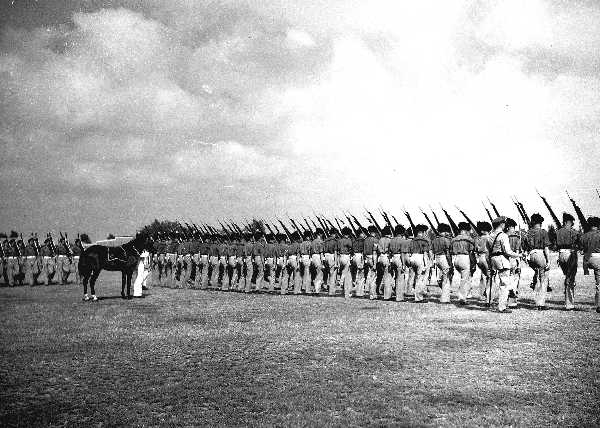 1 LF colour Troop 1951321